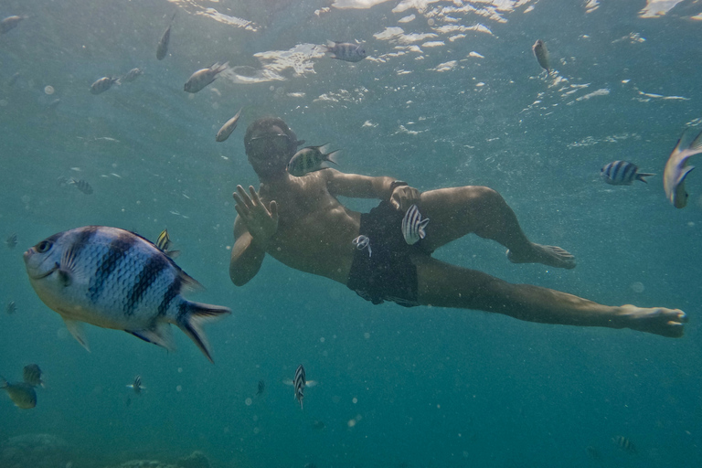 Lombok : Excursion en bateau privé de plongée en apnée dans les îles Gili