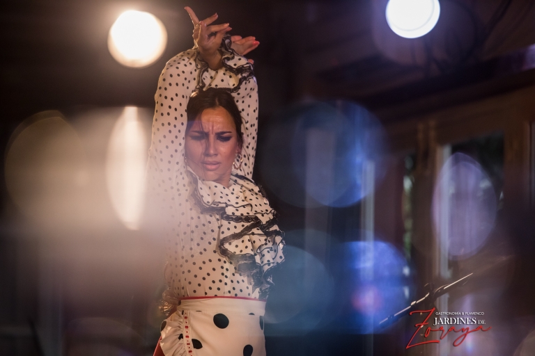 Granada: Flamenco Show in AlbaycinGranada: Flamenco Show