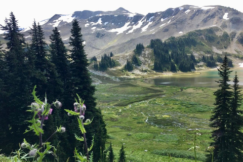 Vancouver: Panorama Ridge Private Guided Hiking Tour