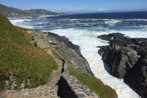 Exclusive Zapallar Walk, Luxury Mansions & Cachagua Wildlife