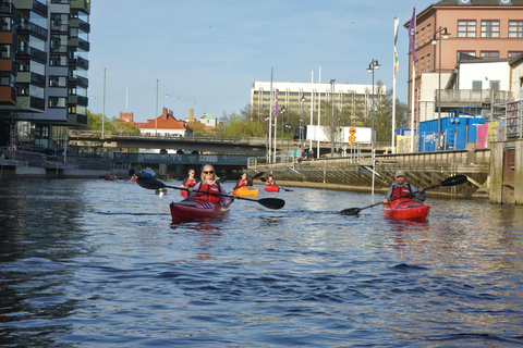 Downstream Säveån Kayak