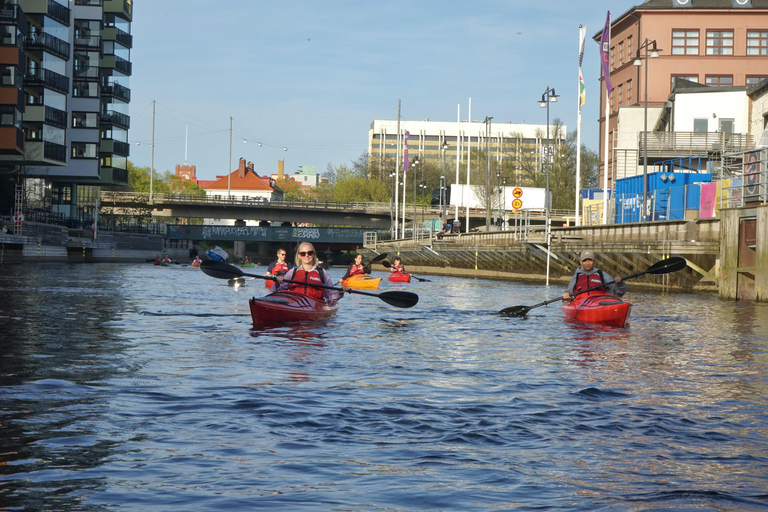Downstream Säveån Kayak