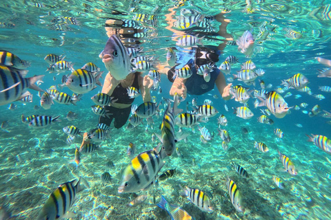Gili Trawangan: Private Turtle Snorkeling Tour with GoPro 2-Hours Private Snorkeling Tour Turtle & Gopro
