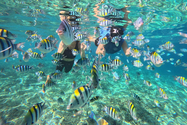 Gili Trawangan: Private Turtle Snorkeling Tour with GoPro 2-Hours Private Snorkeling Tour Turtle & Gopro
