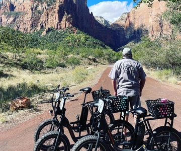Springdale: Guided eBike Tour in Zion National Park