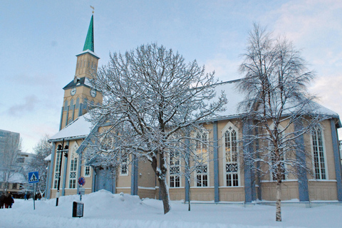 Tromsø: Biglietto per il concerto di mezzanotte alla Cattedrale di Tromsø