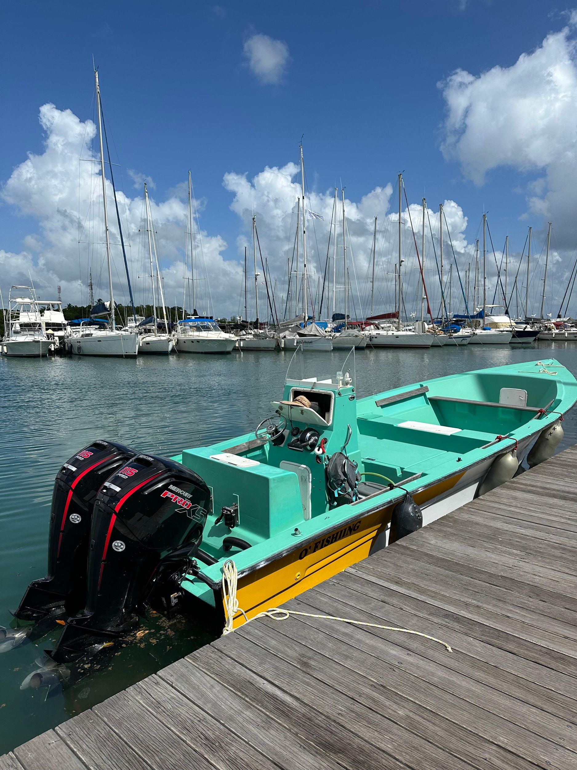 Martinique: Ausflug ins Herz des Mangrovenwaldes