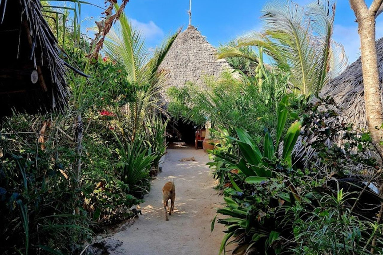 JOZANI FOREST/SEA TURTLE SANCTUARY/MTENDE BEACH