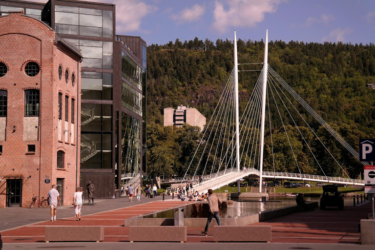 南挪威海岸之旅：峡湾、堡垒和世界尽头挪威南部海岸之旅：峡湾、堡垒和世界尽头