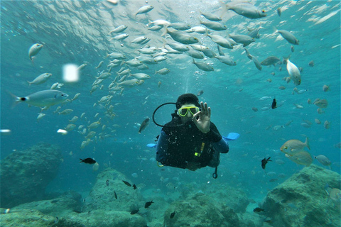 Alanya: Rondvaart duiken met lunch en uitrusting