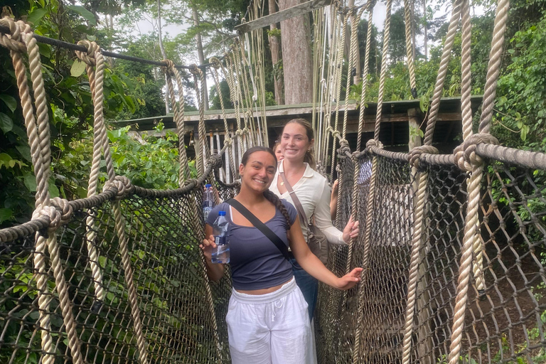 Kakum National Park & Elimina & Cape Coast Castle Day Tour