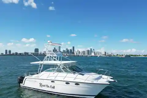 Valencia: Catamaran Boat Rental with Captain and Drinks