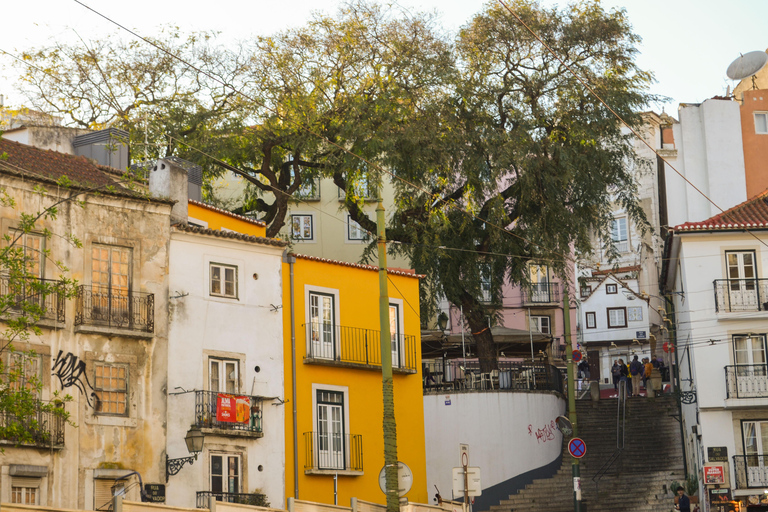 Lisbon: Graça Food & Wine Tour in Traditional Taverns Food & Wine Walking Tour