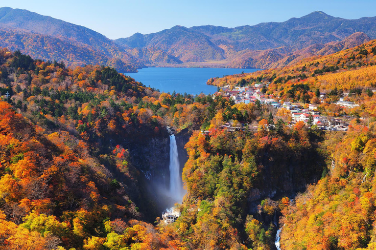 Nikko Day Tour from Tokyo with English Speaking Driver