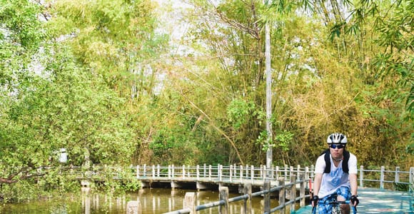 Bangkok: Khlong Toei Markt & Bang Krachao Insel Fahrradtour