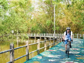 Bangkok: Khlong Toei Markt & Bang Krachao Insel Fahrradtour