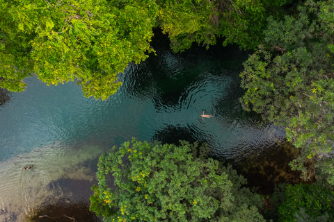 Port Douglas: Waterfall Tour with Lunch
