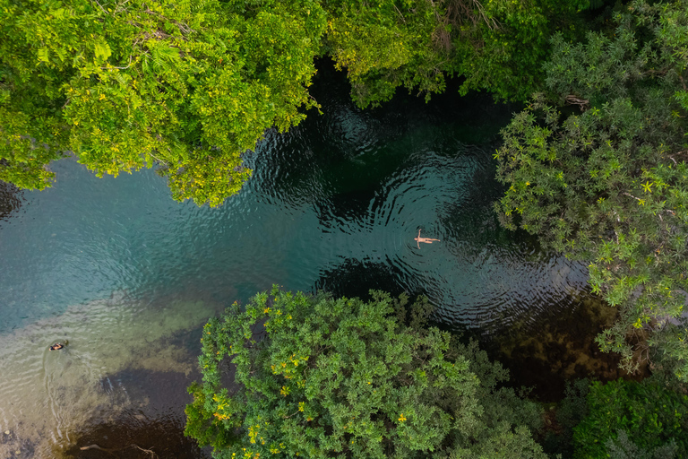 Port Douglas: Waterfall Tour with Lunch
