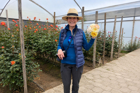 Ecuador Volcano & Rose Industry Experience from Quito