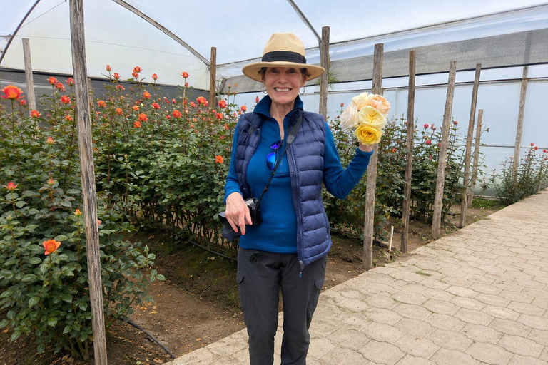 Ecuador Volcano & Rose Industry Experience from Quito