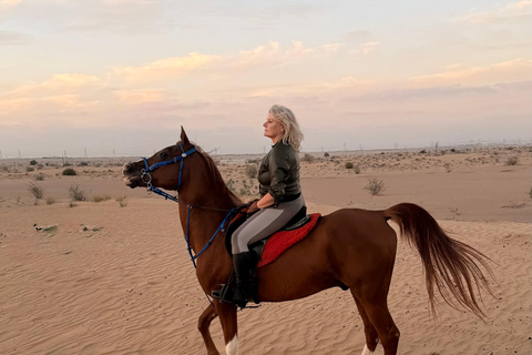Dubai: Desert Horse Riding Experience at JSR Equestrian Club Private Horse Riding - 1 Hr
