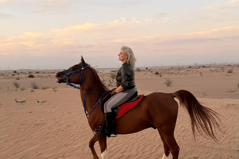 Dubai: Desert Horse Riding Experience at JSR Equestrian Club Shared Group Horse Riding - 1 Hr