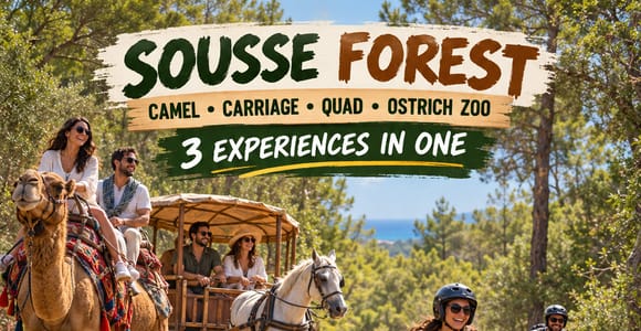 Sousse: Quad, Camel, Carriage & Zoo Tour with Pickup