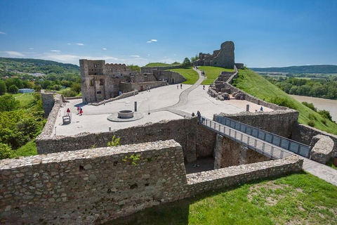 Bratislava: Devin Castle & Currant Wine Private Tour