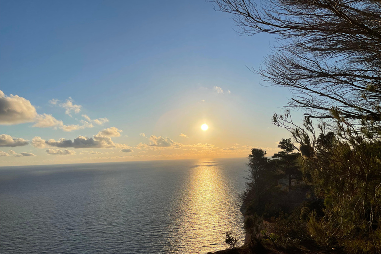Zakynthos: Schildpaddeneiland, Keri-grotten en boottocht bij zonsondergang
