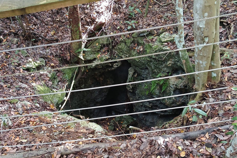 Guided Primeval Nature Walk Tour