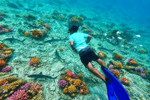 From Phi Phi: Private Luxury Longtail Boat Trip & Snorkeling 6-Hour option