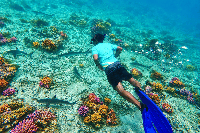 From Phi Phi: Private Luxury Longtail Boat Trip & Snorkeling 6-Hour option
