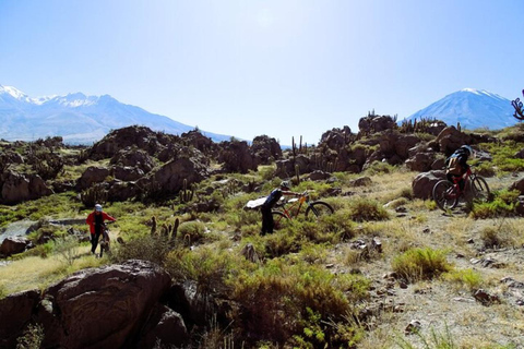 Arequipa: 3-timmars mountainbike-tur