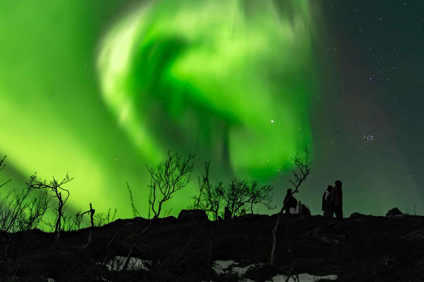 Tromsø: Aventura en búsqueda de auroras para grupos pequeños