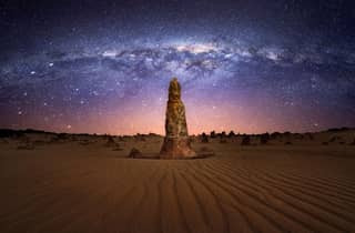 Ab Perth: Koala, Pinnacles-Sonnenuntergang & Sternenbeobachtung – Tagestour