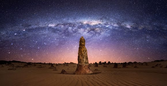From Perth: Koala, Pinnacles at Sunset & Stargazing Day Tour