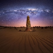 From Perth: Koala, Pinnacles Sunset & Stargazing Day Tour