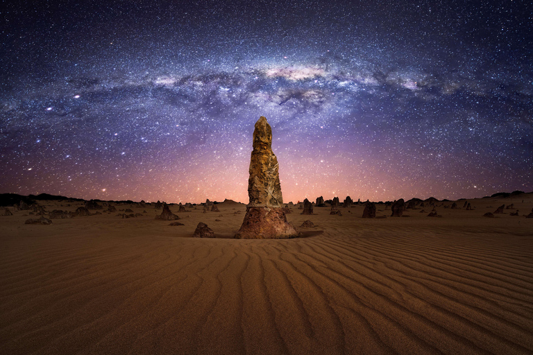 From Perth: Koala, Pinnacles Stargazing Day Tour