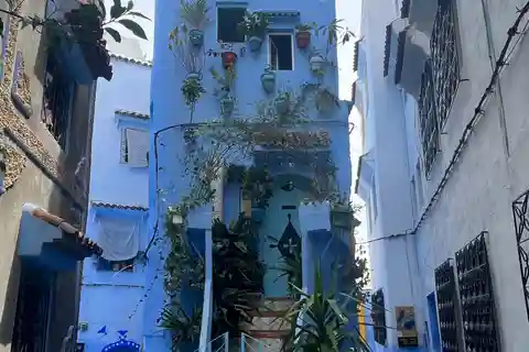 Chefchaouen la ciudad azul y las cascadas akchour