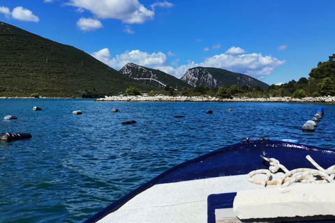 From Dubrovnik: Peljesac Peninsula Oyster & Wine Tour