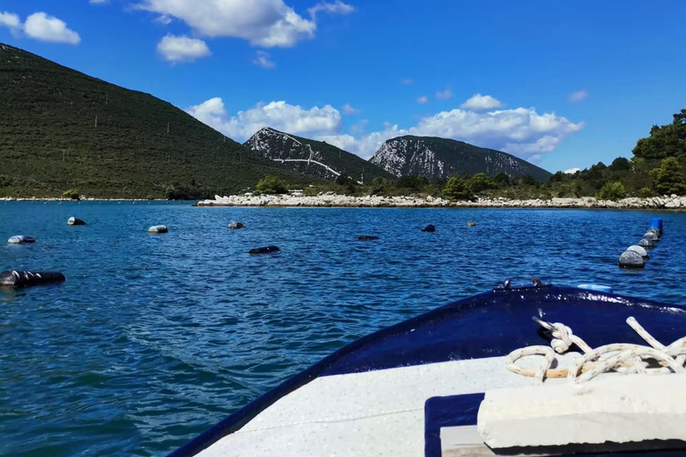 From Dubrovnik: Peljesac Peninsula Oyster & Wine Tour