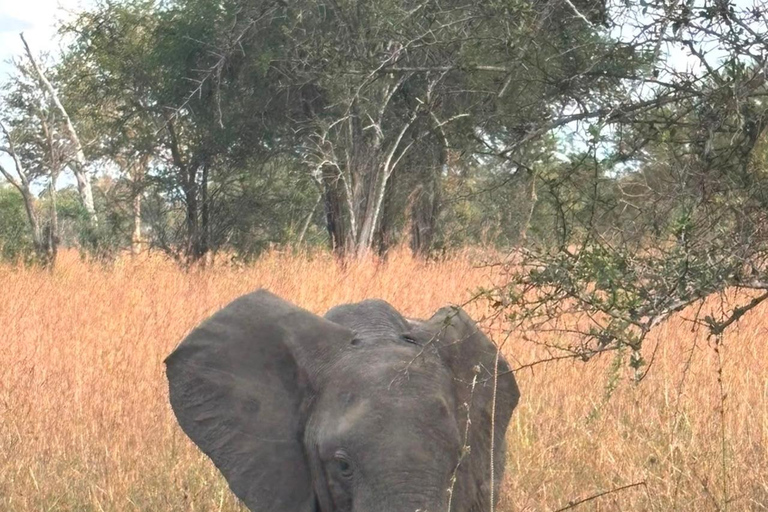 From Zanzibar: 2-Day Mikumi National Park Safari with Train