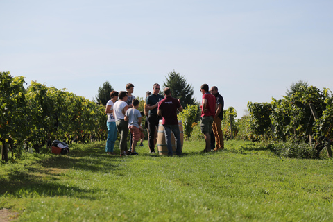 Excursão de 1 dia para degustação de vinhos com almoço na vinícola: Vouvray&amp;Chinon