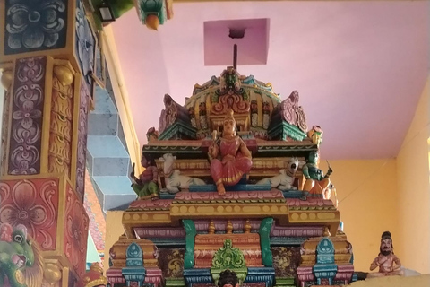 Kandy: Guided City Tour with Boat Ride & Tuk-Tuk Ride