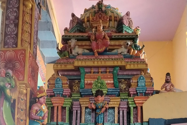 Kandy: Guided City Tour with Boat Ride & Tuk-Tuk Ride