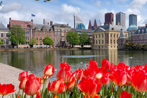 The historical center of The Hague