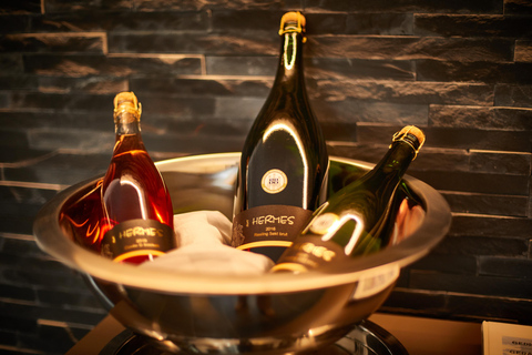 Kröv/Gut Hermes: Wine tour & tasting through the vineyard, winery, & sparkling wine factory Kröv/Gut Hermes: Wine Tour & Tasting Through Vineyard, Winery & Champagne Factory