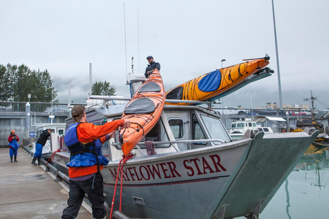 Valdez: Columbia Glacier Sea Kayak Day Tour