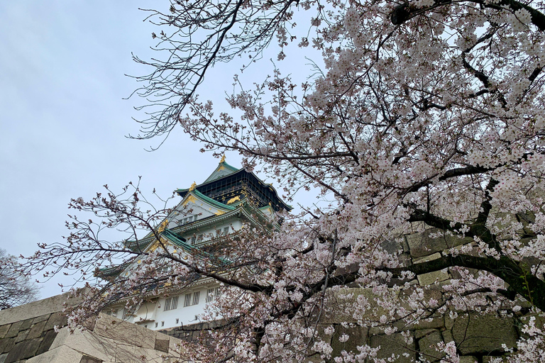 Osaka: Guidad promenad med en inhemsk expert - de största sevärdheterna