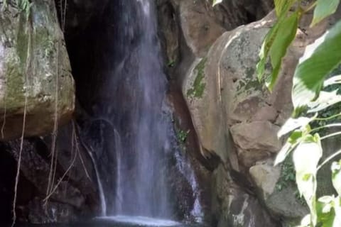 Cebu: Cave and Waterfalls Hike with Market Visit - Image 2